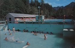 Sol Duc Hot Springs Postcard