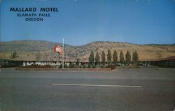 Mallard Motel Postcard