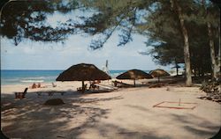 View of the Famous Varadero Beach Cuba Postcard Postcard Postcard