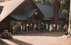 Dining Room San Francisco Recreation Camp Postcard