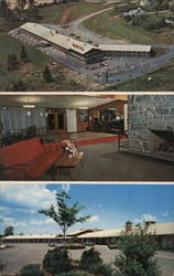 Eden Rock Motor Hotel Postcard