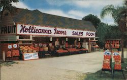 Hollieanna Groves on Route 17092 Postcard