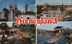 Disneyland - The Magic Kingdom Postcard