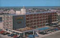 Lotus Motor Inn Postcard