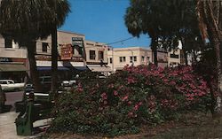 Azalea Time Ocala, FL Postcard Postcard Postcard