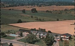 Maple farms Motel Postcard