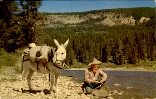 Desert Wandered, Prospector Badwater Bill Cowboy Western