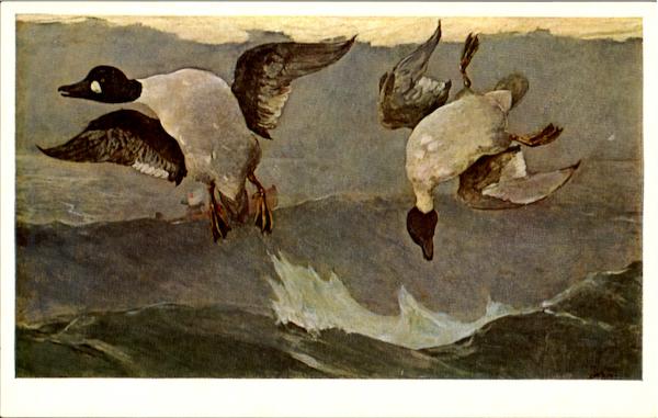 National Gallery Of Art Washington District of Columbia