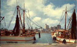 The Seawall And Skyline Of Corpus Christi Postcard