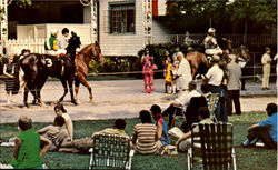 Saratoga Postcard