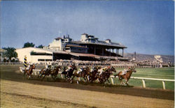 Caliente Race Course Horse Racing Postcard Postcard