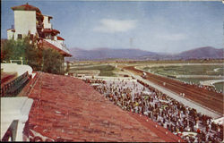 Tijuana 4 Race Track Mexico Postcard Postcard