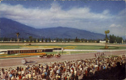 Santa Anita Race Track Arcadia, CA Postcard Postcard