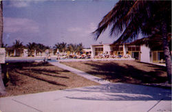 The Islander Hotel And Apartments Postcard