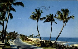 Ocean Blv'D Postcard