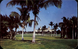 Golf Course at Breakers Hotel, Palm Beach, FL Postcard