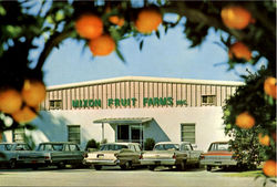 Mixon Fruit Farms, Inc., 26th Ave. & 27th St. E. Bradenton Postcard