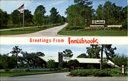 Innisbrook Tarpon Springs, FL Postcard Postcard