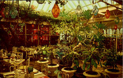 Patio Room At The Kapok Tree Inn, North Haines Road Postcard