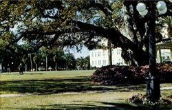 The Belleview Biltmore Hotel Belleair Postcard