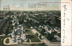 East Walnut Hills Postcard