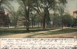 College Yard Harvard University Postcard