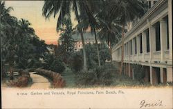 Garden and Veranda Royal Poinciana Postcard