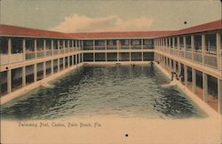 Swimming Pool, Casino Palm Beach, FL Postcard Postcard Postcard