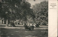 Scene at Cadwalder Park Postcard