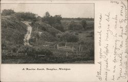 A Ravine South Douglas, MI Postcard Postcard Postcard