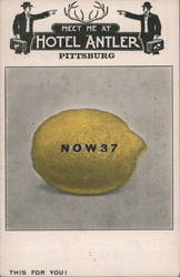 Meet me at Hotel Antler Now 37 Lemon Postcard