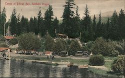 Camps at Pelican Bay Postcard