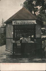 The Old Salt Sulphur Spring Postcard