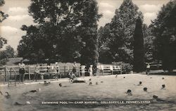Swimming Pool - Camp Maribel Collegeville, PA Postcard Postcard Postcard