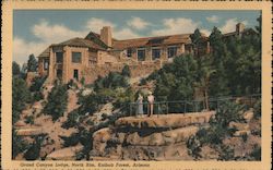 Grand Canyon Lodge North RIm Kaibab Forest Postcard