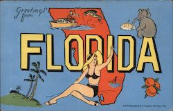Greetings from Florida Postcard Postcard Postcard