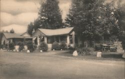 Cozy Cabins - Situated on Rt. 3 Postcard