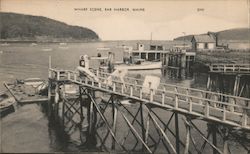 Wharf Scene Bar Harbor, ME Postcard Postcard Postcard