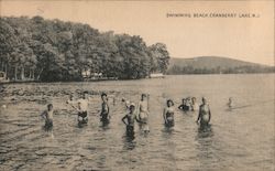 Swimming Beach Cranberry Lake, NJ Postcard Postcard Postcard