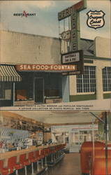 Fern Cafe Postcard
