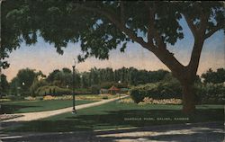 Oakdale Park Salina, KS Postcard Postcard Postcard