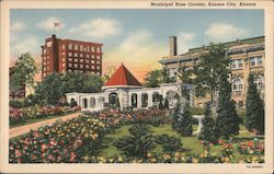 Municipal Rose Garden Postcard