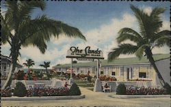 The Sands of Treasure Island Postcard