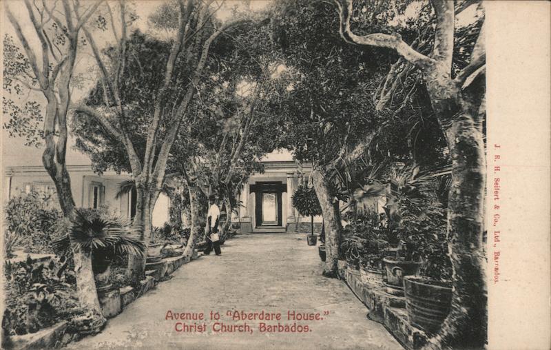 Avenue to Aberdare House Christ Church Barbados Caribbean Islands
