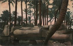 Statue of Ramses Memphis, Egypt Africa Postcard Postcard Postcard