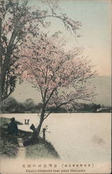 Cherry blossoms near pond Hirosawa Postcard