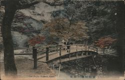 The Maple, Takawo Postcard