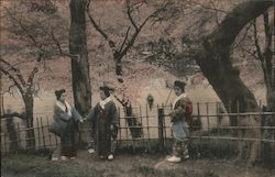 Geisha Standing Outdoors in Front of Cherry Blossom Trees Postcard