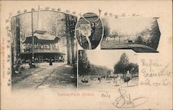 Dolder-Park Postcard