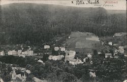 Birds-eye View of Wildbad Postcard